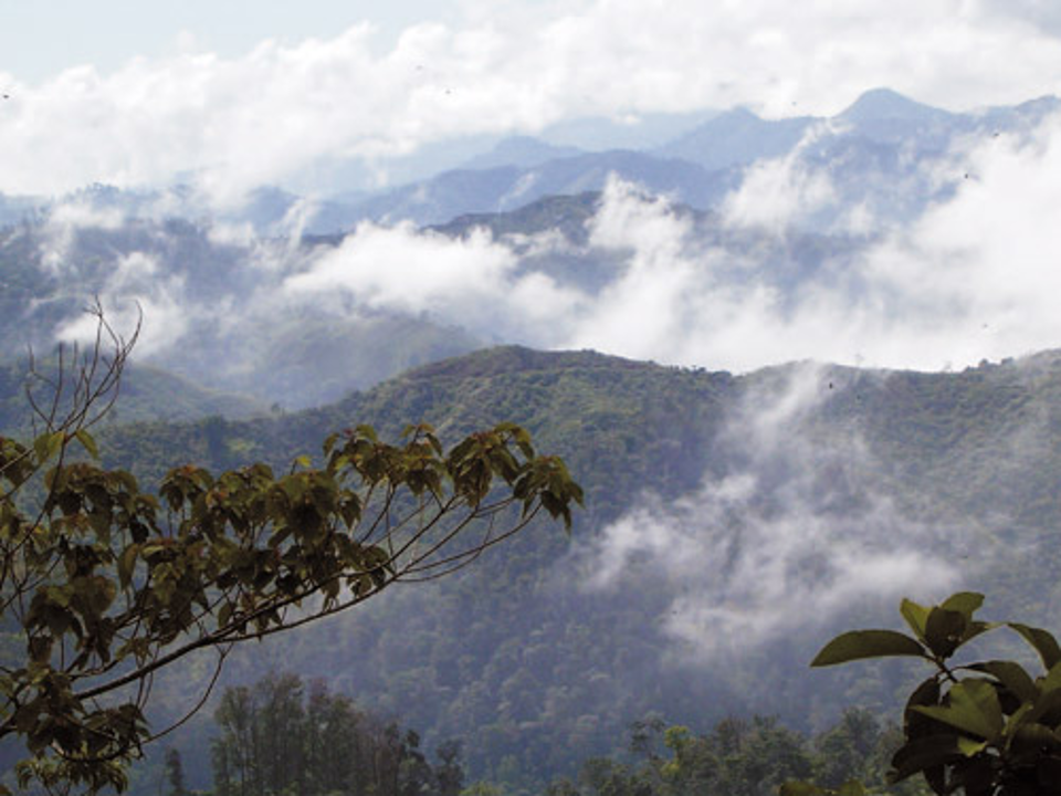 Sierra Mico Quemado