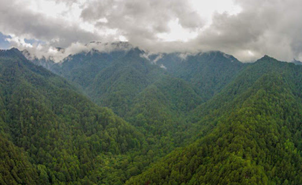 Sierra de Celaque