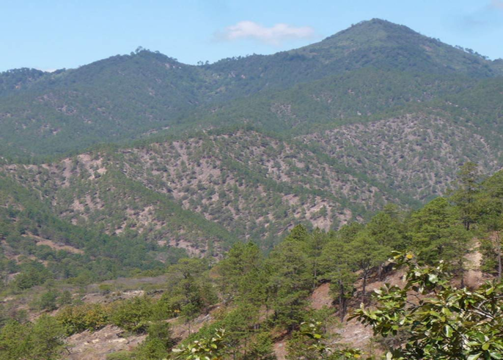 Sierra de Dipilto