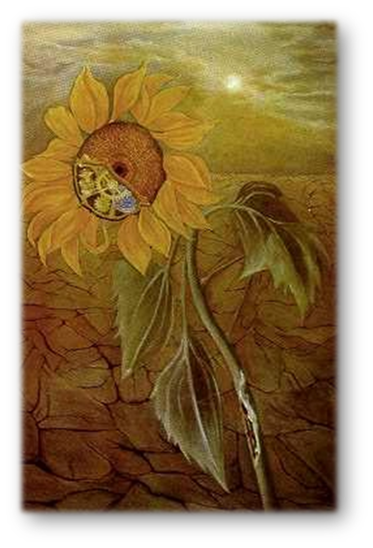 Maria William Girasol 2